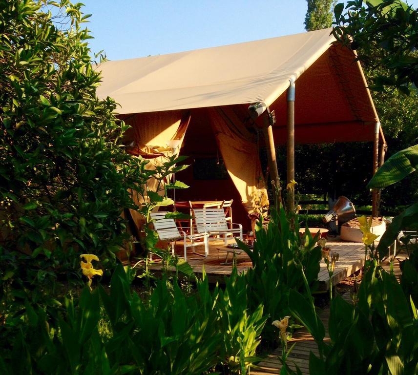 Hotel Campo Portakal Eco Glamping à Çıralı Chambre photo