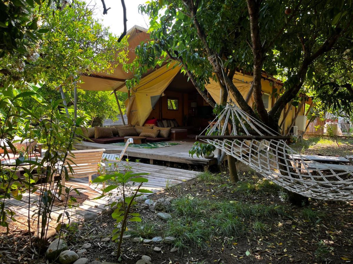 Hotel Campo Portakal Eco Glamping à Çıralı Extérieur photo